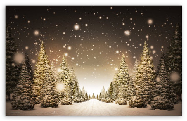 Snowy scene trees snow falling #2 free wallpaper for desktop - medium preview image