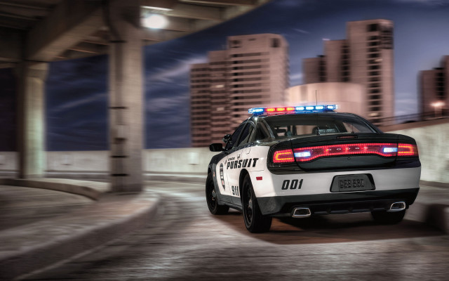 Police car night city tall free wallpaper for desktop - medium preview image