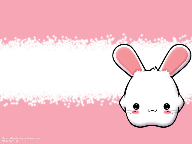 Pink background white bunny face free wallpaper for desktop - medium preview image