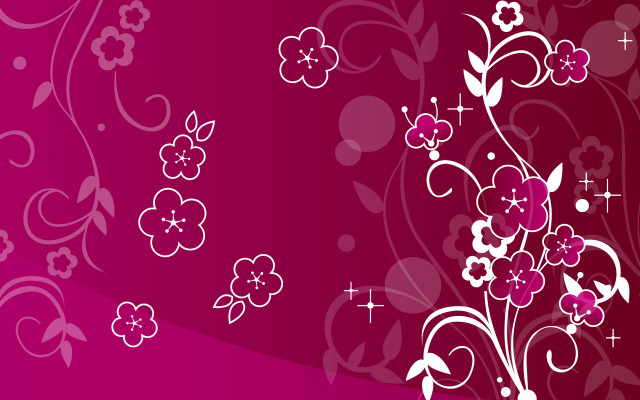 Pink background white flowers stars free wallpaper for desktop - medium preview image