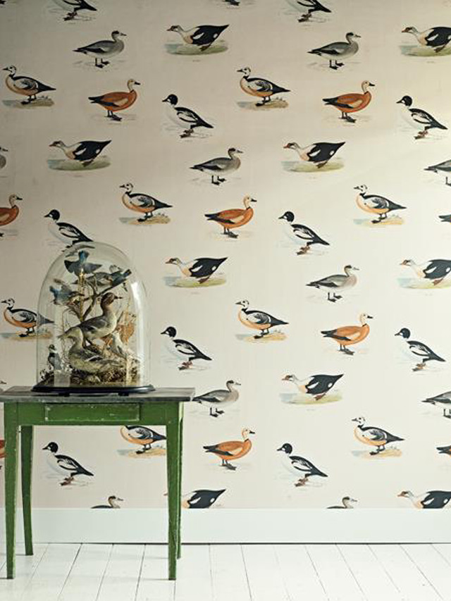 Wall clock birds wallpaper green free wallpaper for mobile - medium preview image