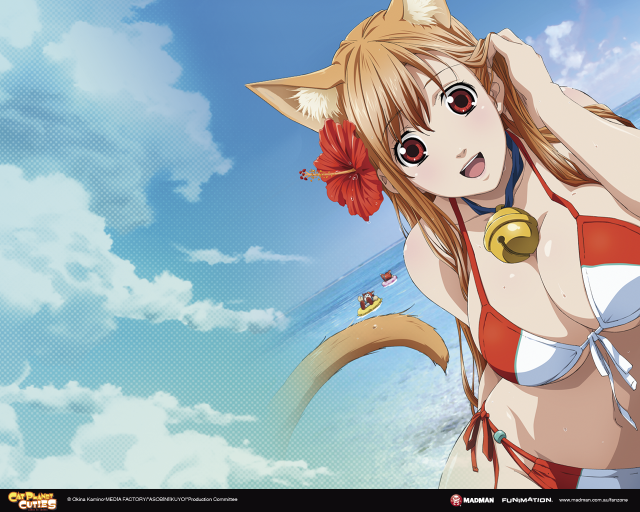 Woman bikini cat ears flower free wallpaper for desktop - medium preview image