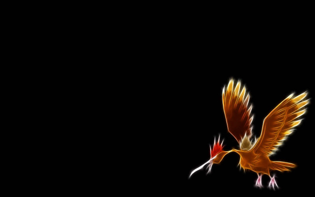 Bird flying wings spread beak #2 free wallpaper for desktop - medium preview image
