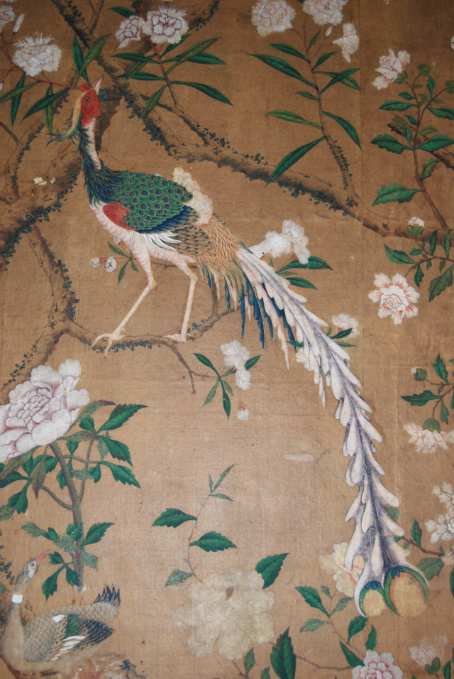 Peacock branch tree flowers leaves free wallpaper for mobile - medium preview image