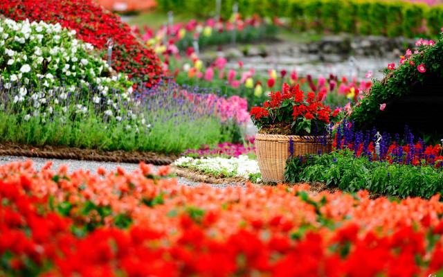 Colorful garden sidewalk building clock free wallpaper for desktop - medium preview image