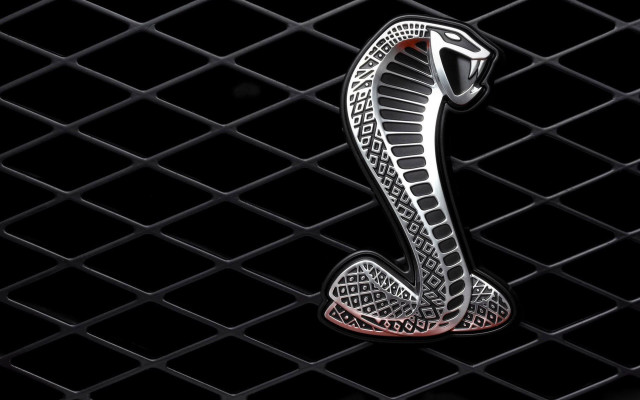 Snake black background red stripe free wallpaper for desktop - medium preview image