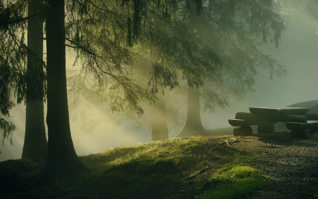 Bench hill forest fog sun free wallpaper for desktop - medium preview image