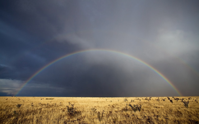 Double rainbow field grass weeds free wallpaper for desktop - medium preview image