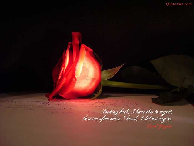 Rose paper quote sitting on free wallpaper for desktop - medium preview image