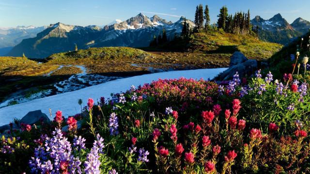 Mountain landscape flowers stream snow #2 free wallpaper for desktop - medium preview image