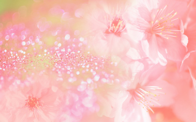 Closeup pink white flowers impressionism free wallpaper for desktop - medium preview image