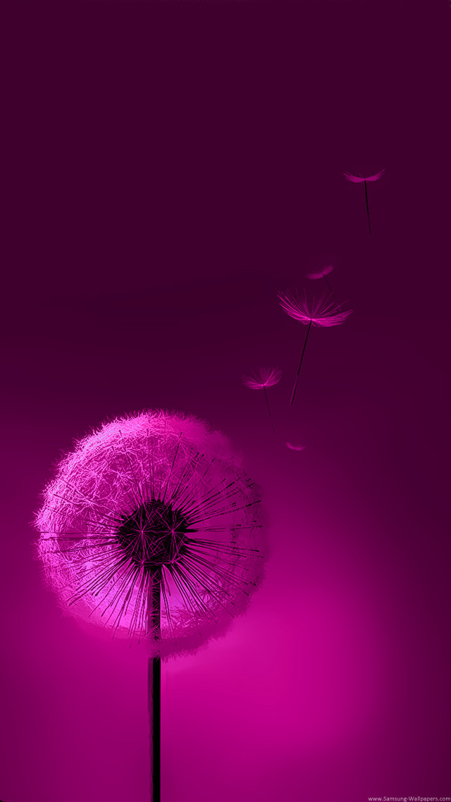 Dandelion flying seeds purple background free wallpaper for mobile - medium preview image