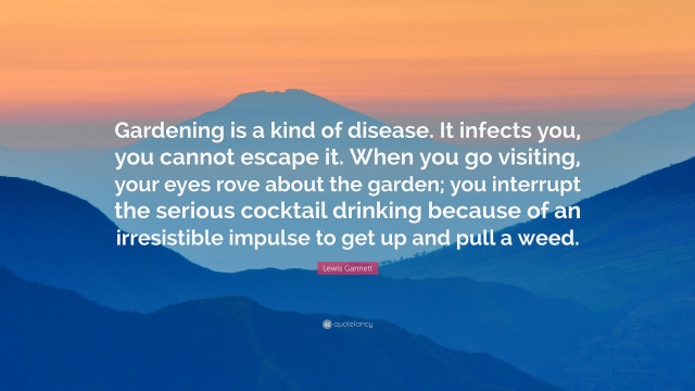 Gardening quote disease intensify you free wallpaper for desktop - medium preview image