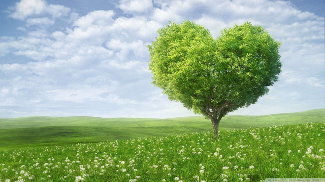 Heart shaped tree field flowers #8 free wallpaper for desktop - medium preview image