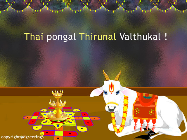 Cow crown banner thai pongal free wallpaper for desktop - medium preview image