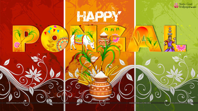 Colorful background happy pongaal message free wallpaper for desktop - medium preview image