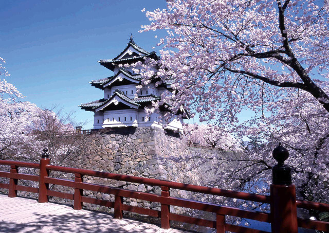 Tall white building hill tree free wallpaper for desktop - medium preview image