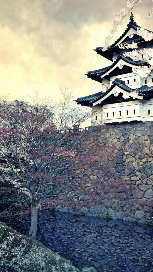 Tall building stone wall tree free wallpaper for mobile - medium preview image