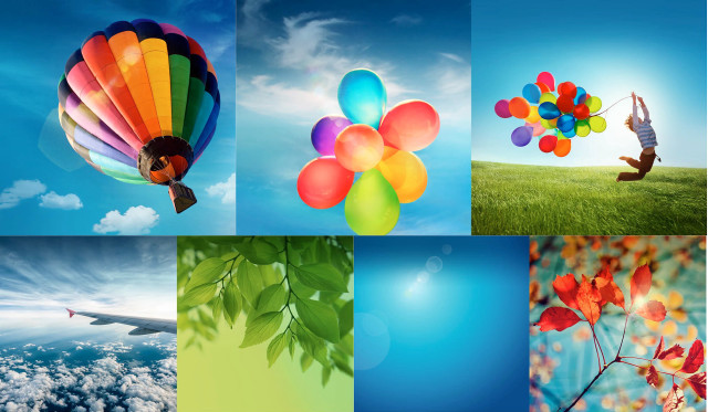 Balloons tree person holding air free wallpaper for desktop - medium preview image