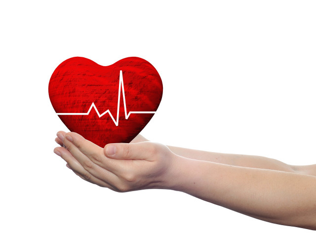 Hand red heart heartbeat white free wallpaper for desktop - medium preview image