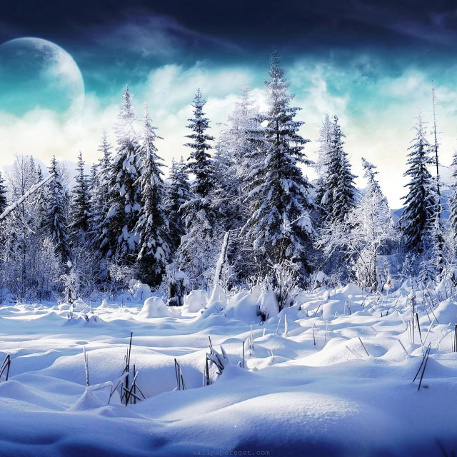 Snowy landscape full moon trees free wallpaper for tablet - medium preview image