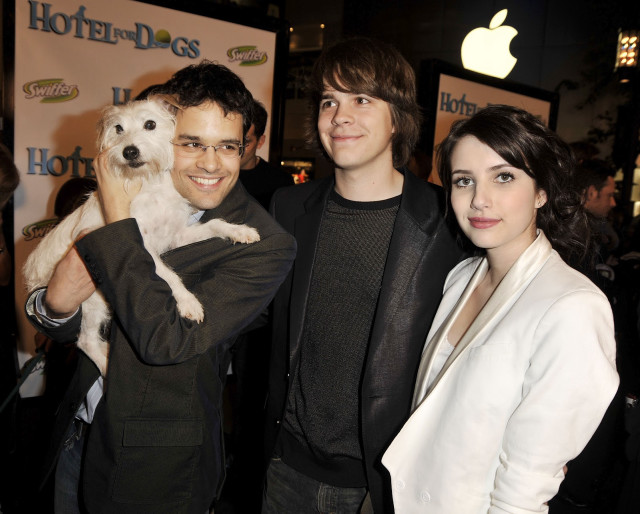 Man dog women movie event free wallpaper for desktop - medium preview image