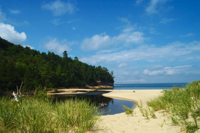 Sandy beach lake trees grass free wallpaper for desktop - medium preview image