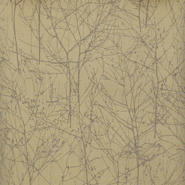 Bare tree winter nature leaves free wallpaper for tablet - medium preview image