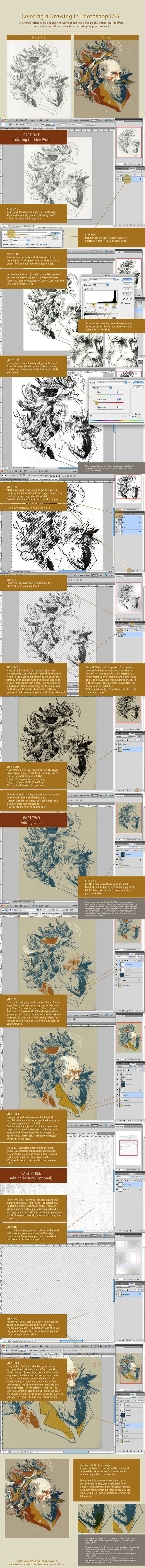 Large poster different types lines free wallpaper for mobile - medium preview image