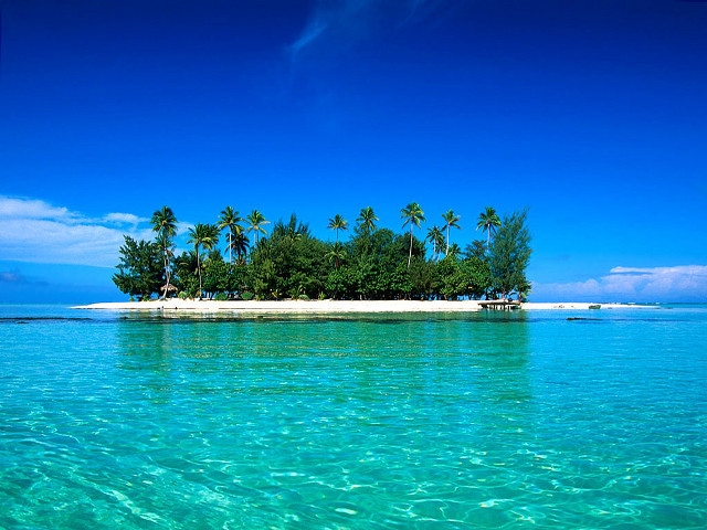 Small island palm trees blue #2 free wallpaper for desktop - medium preview image