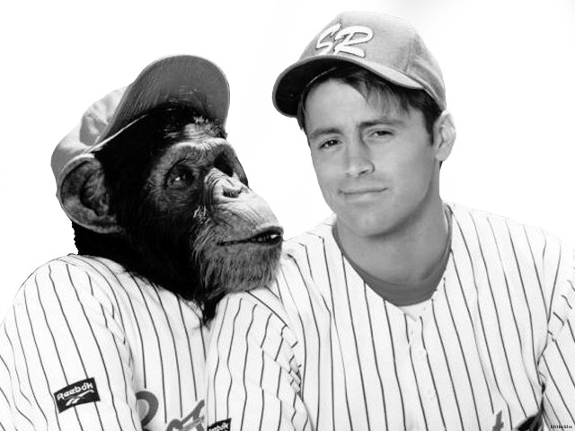 Man monkey baseball uniforms posing free wallpaper for desktop - medium preview image