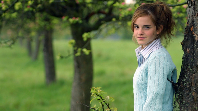 Woman tree field blue sweater free wallpaper for desktop - medium preview image