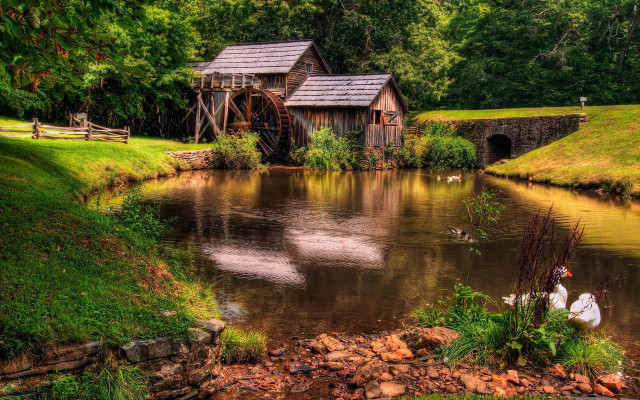 Pond ducks watermill trees grass free wallpaper for desktop - medium preview image