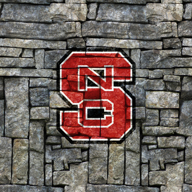 Brick wall letter s painted free wallpaper for tablet - medium preview image