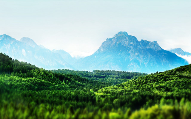 Mountain range forest blue sky free wallpaper for desktop - medium preview image