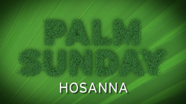 Green background palm sunday grass free wallpaper for desktop - medium preview image