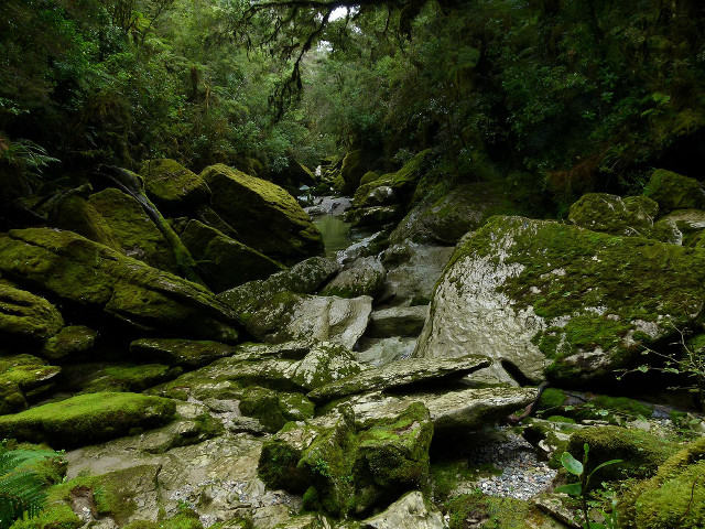 Stream lush forest rocks mossy #3 free wallpaper for desktop - medium preview image