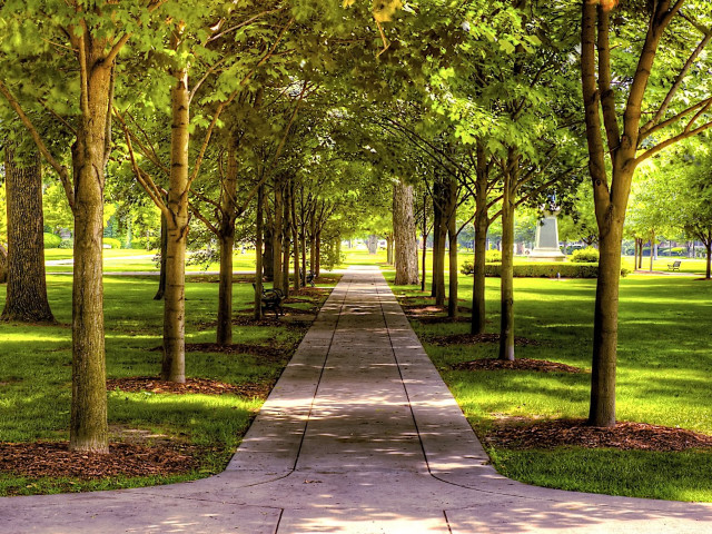 Walkway park trees grass bench free wallpaper for desktop - medium preview image