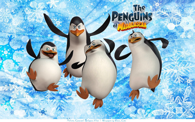 Penguins blue background snowflakes winter free wallpaper for desktop - medium preview image
