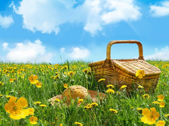 Basket hat field flowers blue free wallpaper for desktop - medium preview image