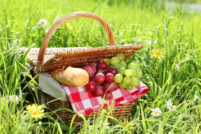 Picnic basket grapes bread daisies free wallpaper for desktop - medium preview image