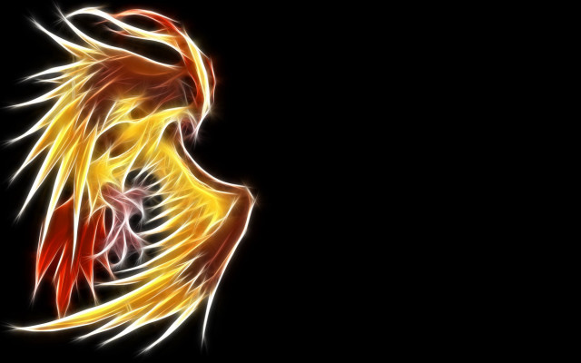Yellow red bird feathers wings free wallpaper for desktop - medium preview image