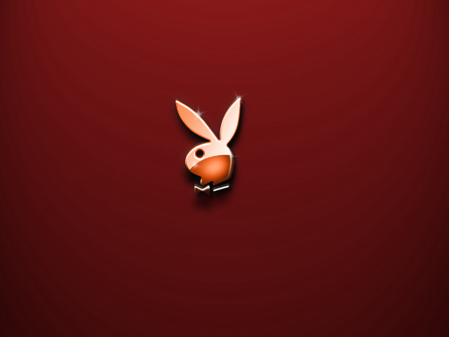 Rabbit red background white head #2 free wallpaper for desktop - medium preview image
