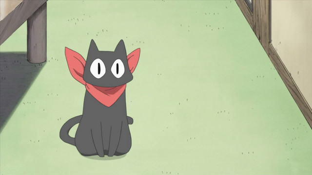 Black cat red collar wooden free wallpaper for desktop - medium preview image