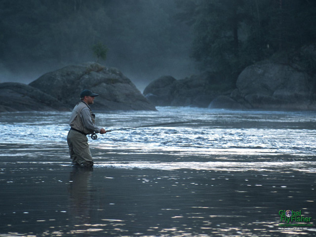 Man standing water holding fish free wallpaper for desktop - medium preview image