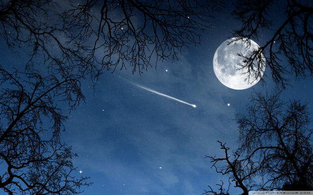 Plane flying sky forest night free wallpaper for desktop - medium preview image