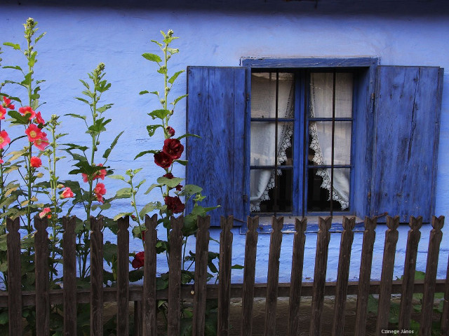Blue house wooden fence flowers free wallpaper for desktop - medium preview image