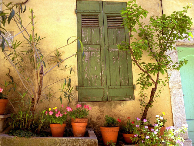 Green window shutter door plant free wallpaper for desktop - medium preview image