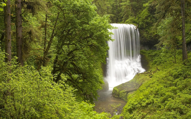 Waterfall forest stream trees people free wallpaper for desktop - medium preview image