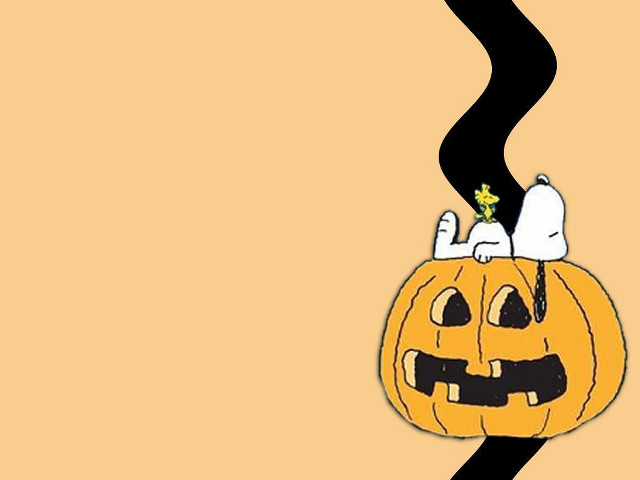 Cartoon pumpkin cat black stripe free wallpaper for desktop - medium preview image